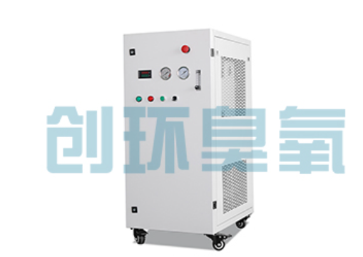 太原石斑鱼养殖水质调控完整指南：臭氧发生器配置与操作步骤