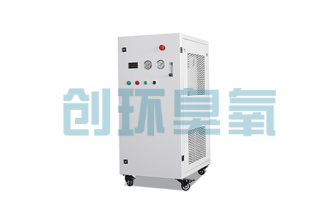 太原比传统换水更高效？臭氧发生器在石斑鱼养殖中的水质净化原理解析