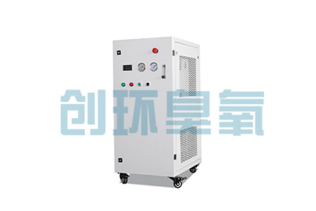 太原比传统换水更高效?臭氧发生器在石斑鱼养殖中的水质净化原理解析